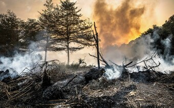 Оценка ущерба после стихийного бедствия в Грозном: отчет оценщика
